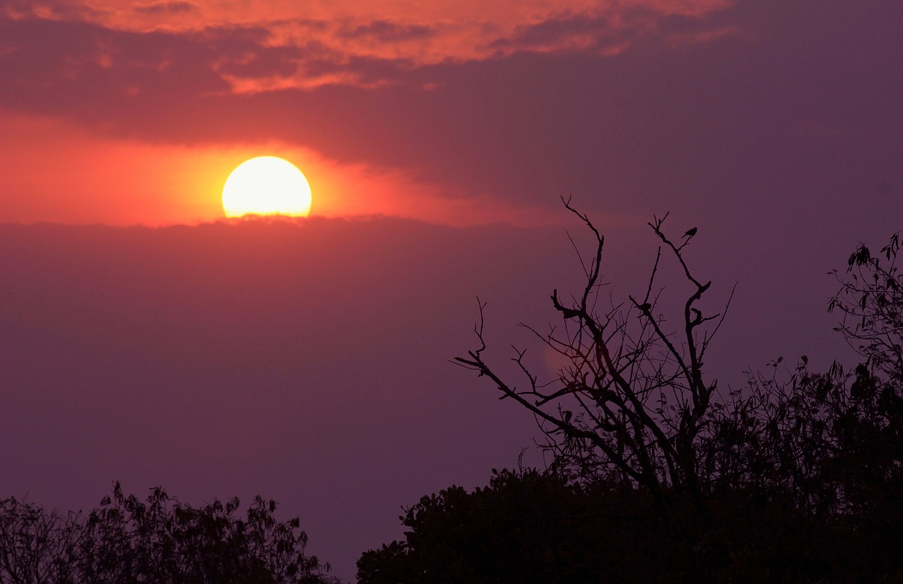 sunset  orange  sky free photo