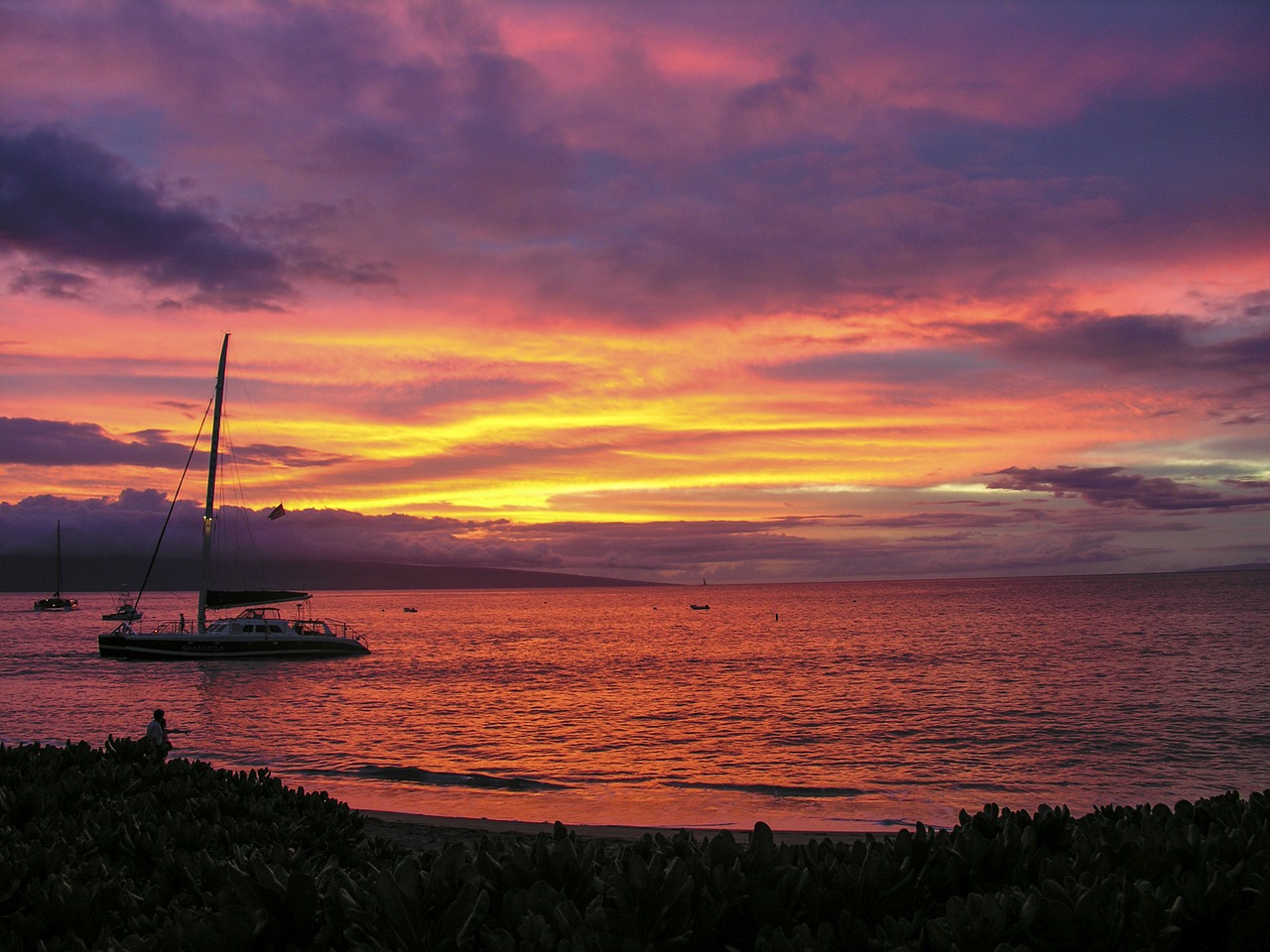 sunset seashore beach free photo