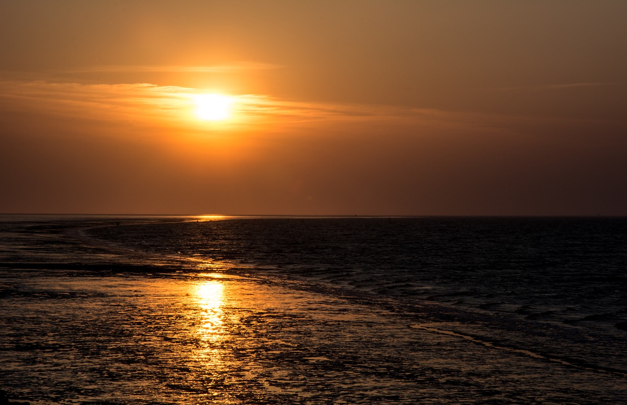 sunset ocean beach free photo