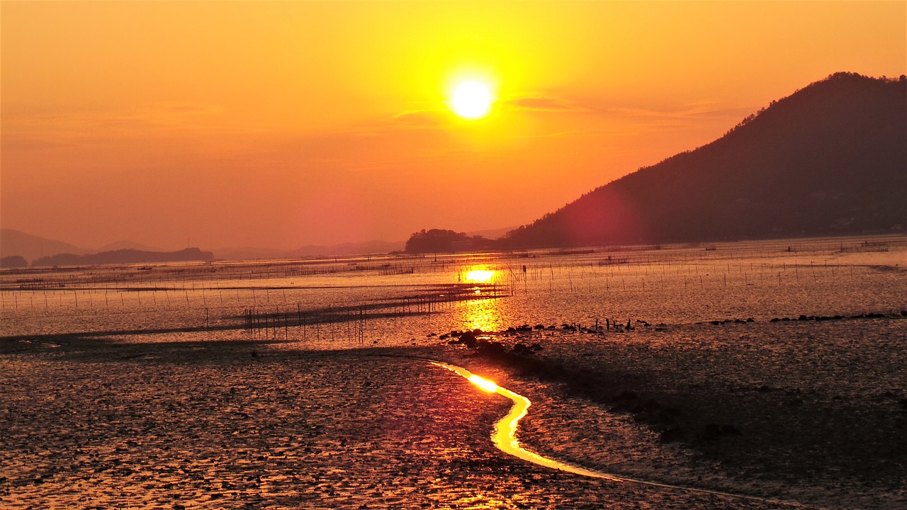 sunset  glow  suncheon bay free photo