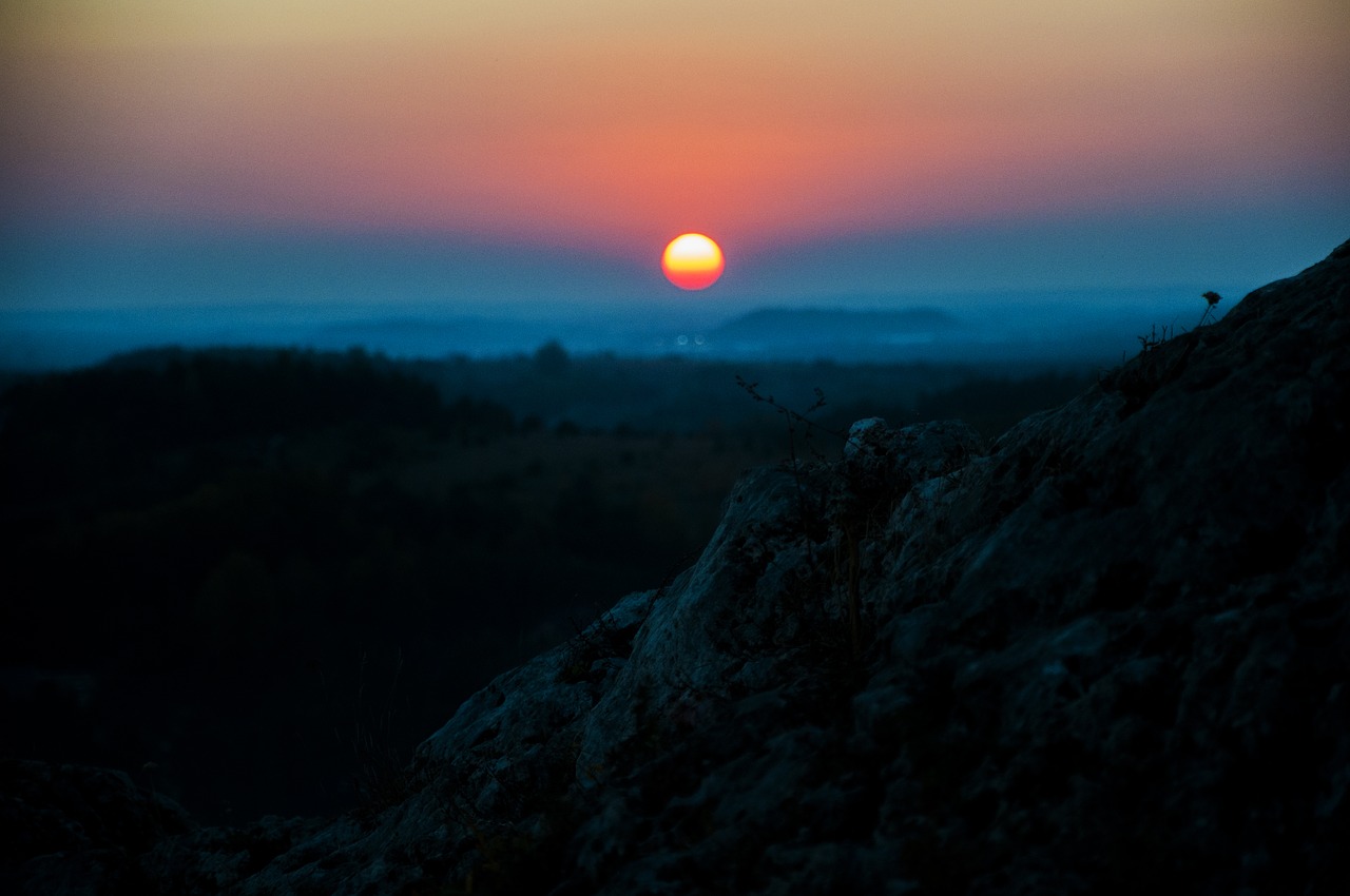 sunset  nature  forest free photo