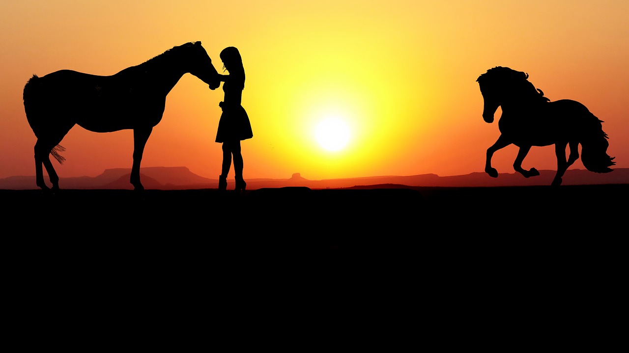 sunset  horses  girl free photo