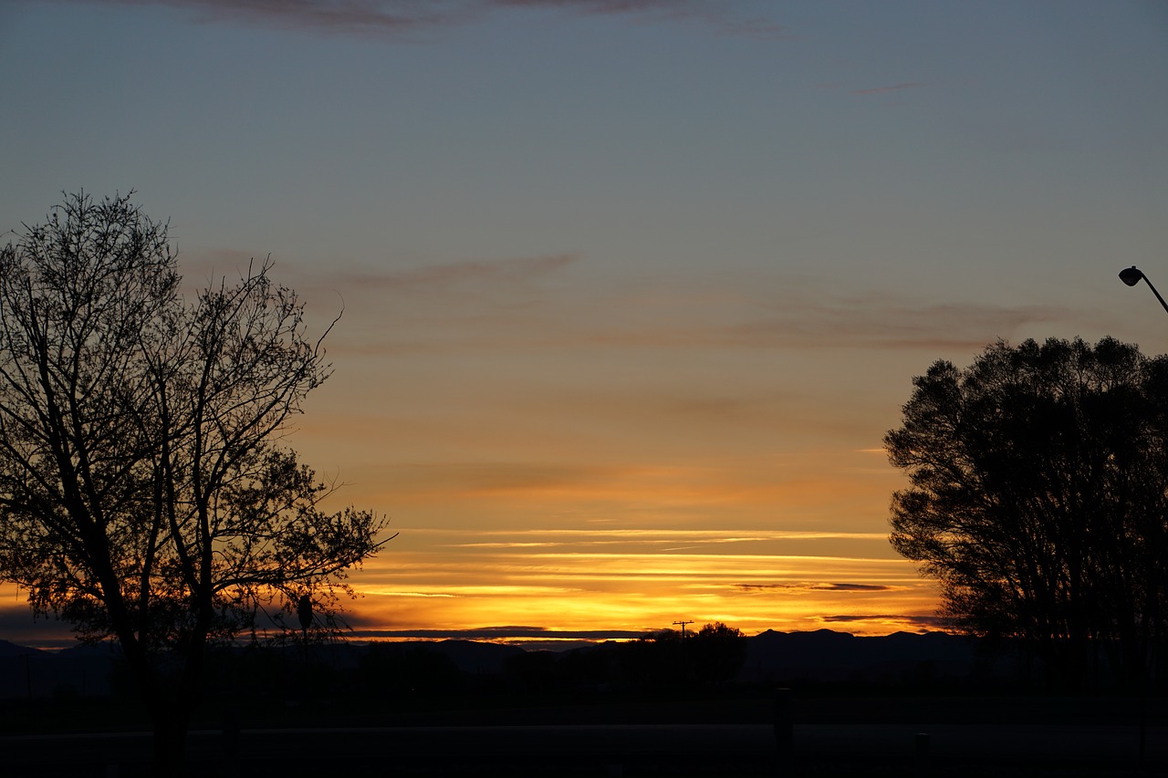 sunset  silhouette  tree silhouette free photo