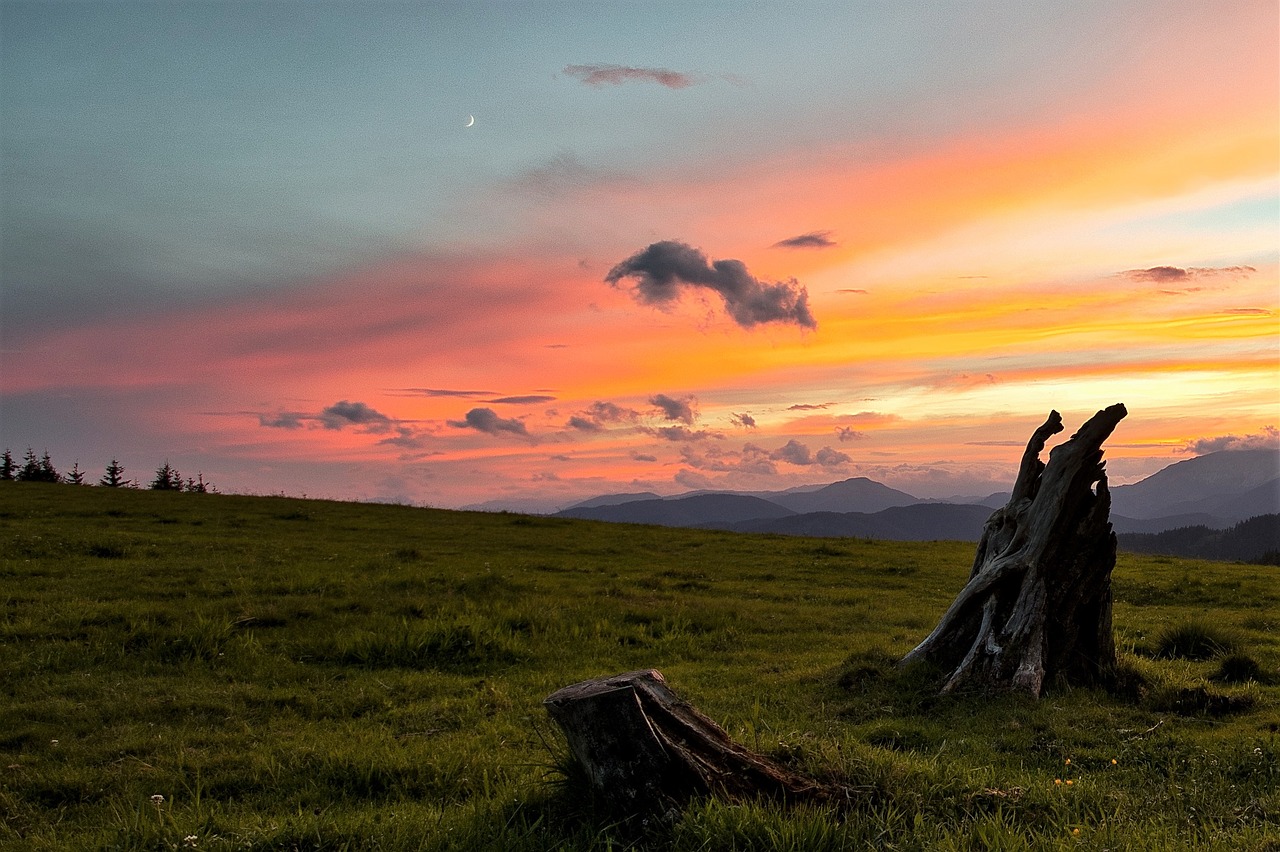 sunset  pasture  meadow free photo