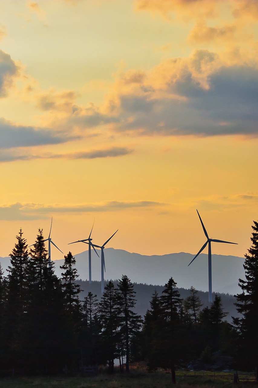 sunset  windräder  wind energy free photo