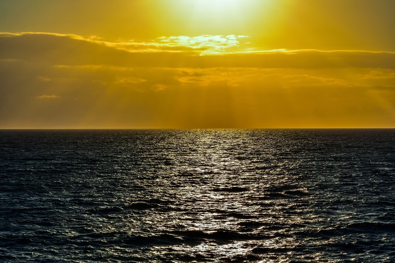 sunset  sea  horizon free photo