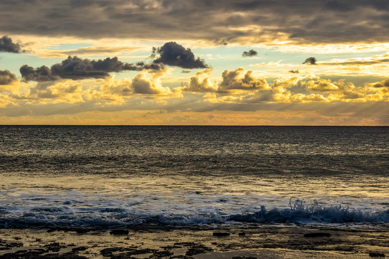 sunset  coast  beach free photo