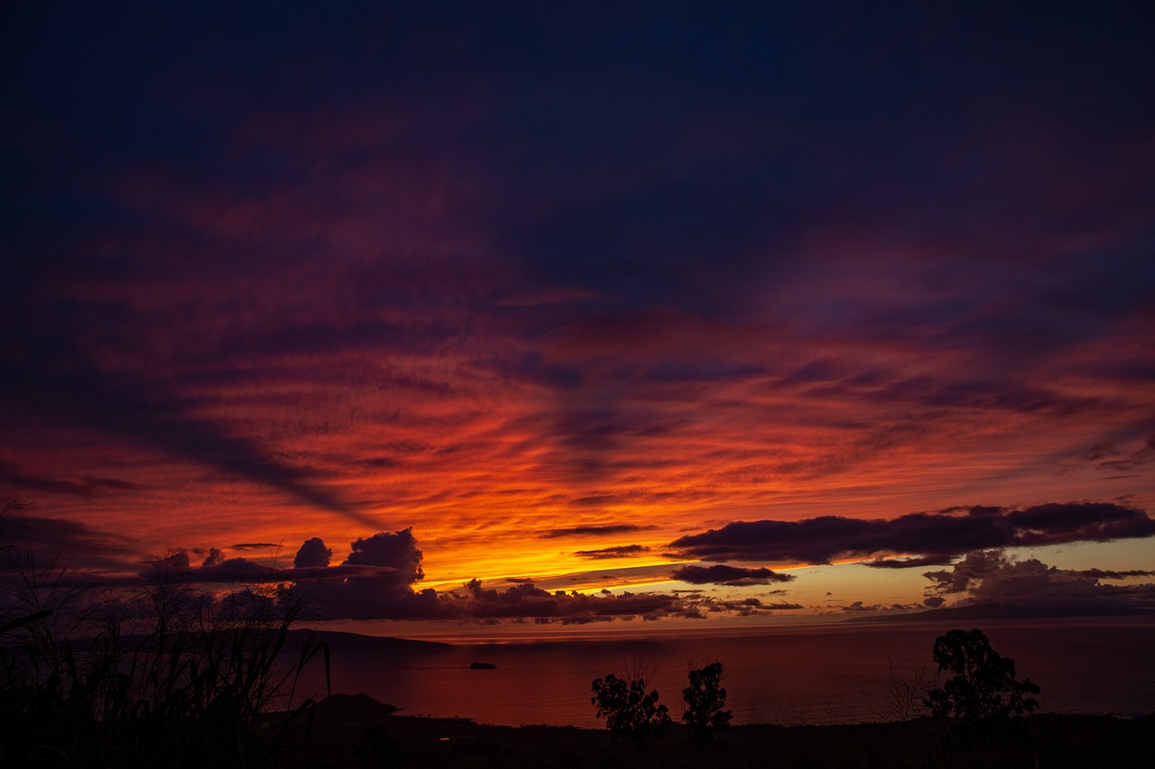 sunset  hawaii  tropicale free photo