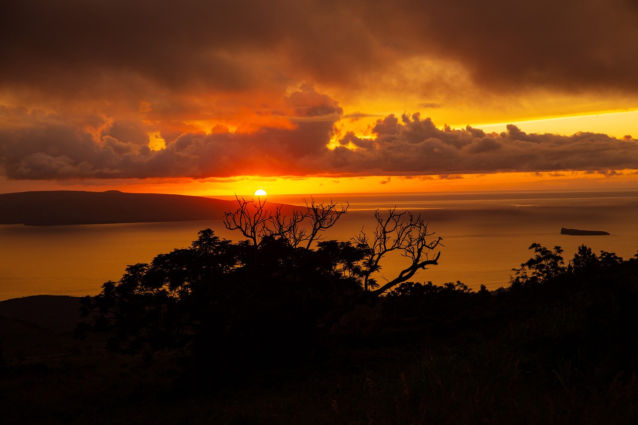 sunset  hawaii  tropicale free photo