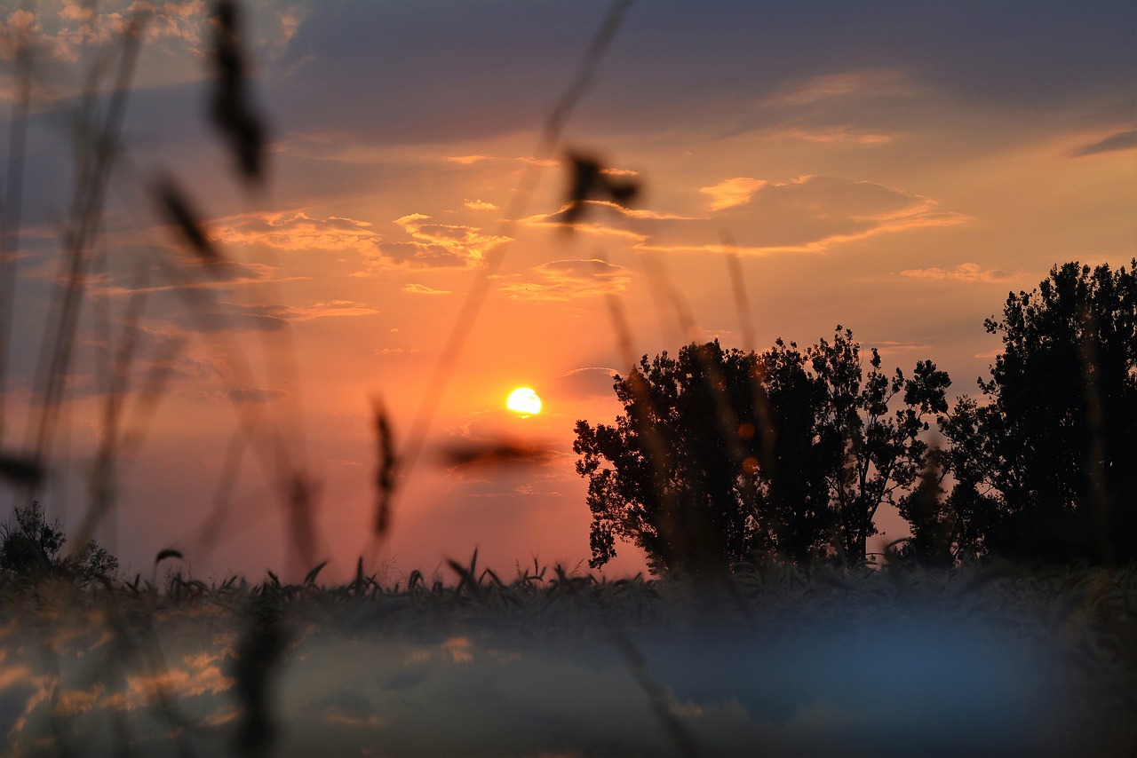 sunset  romantic  twilight free photo