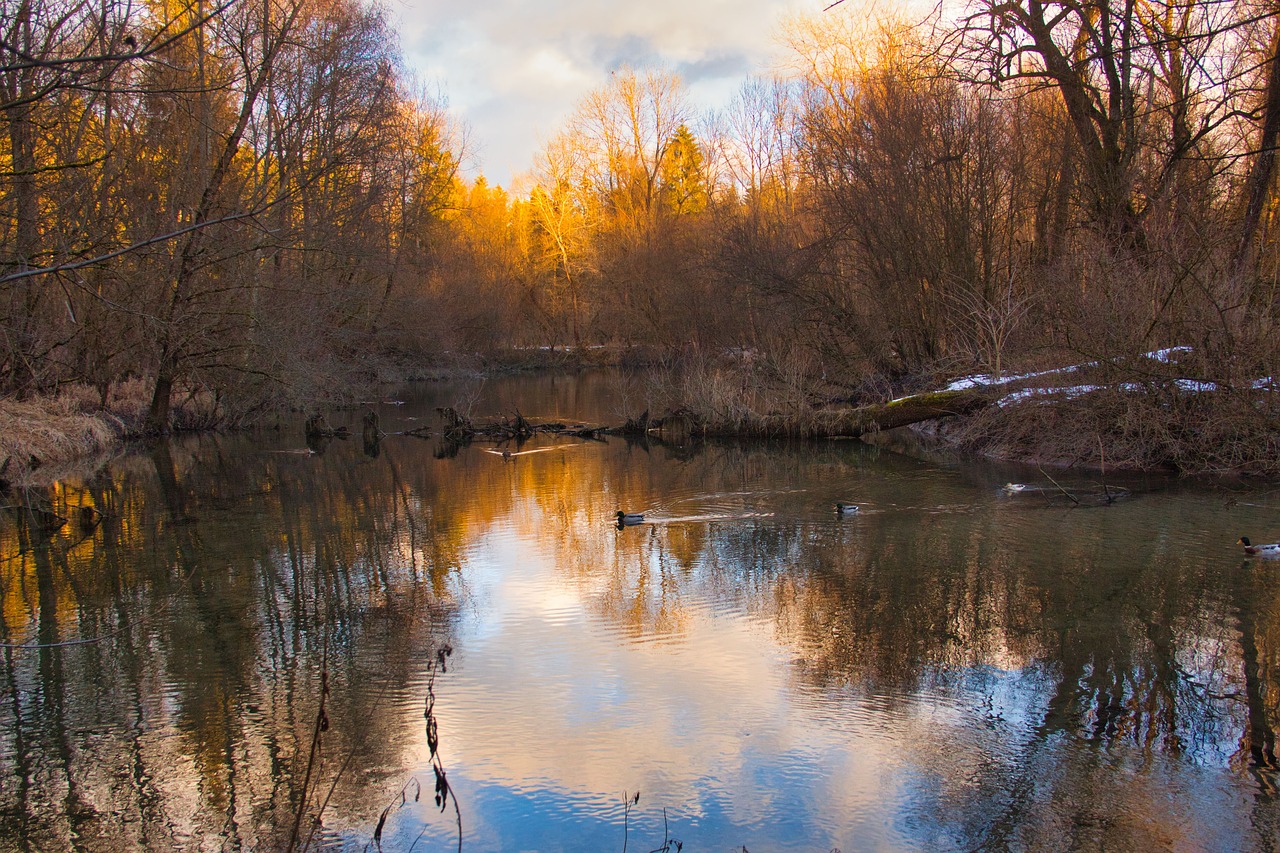 sunset  dusk  sky free photo