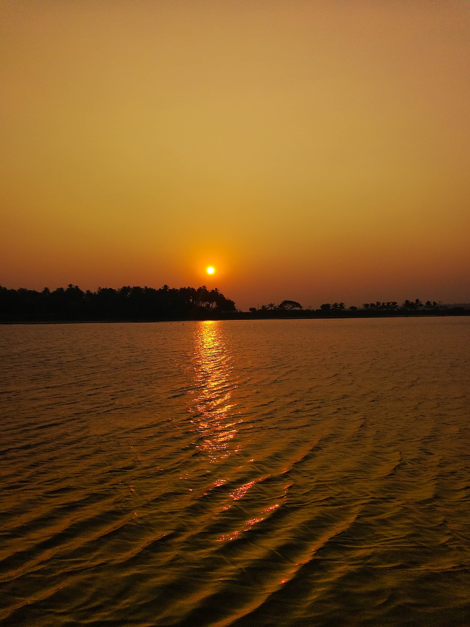 sunset  nature  silhouette free photo