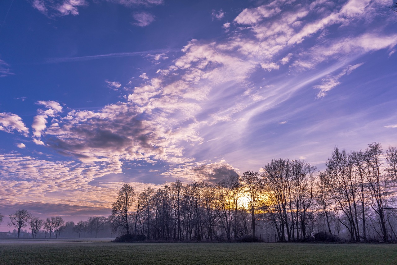 sunset  winter mood  winter free photo