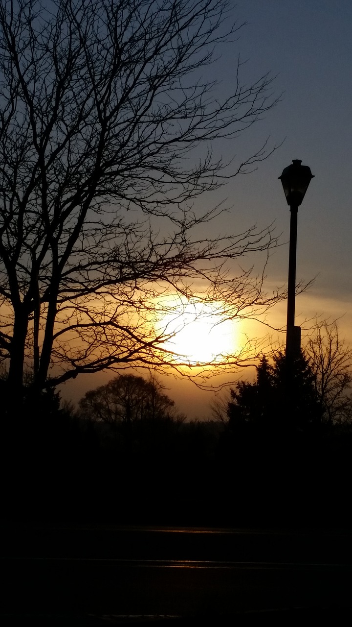 sunset  shadow  tree free photo