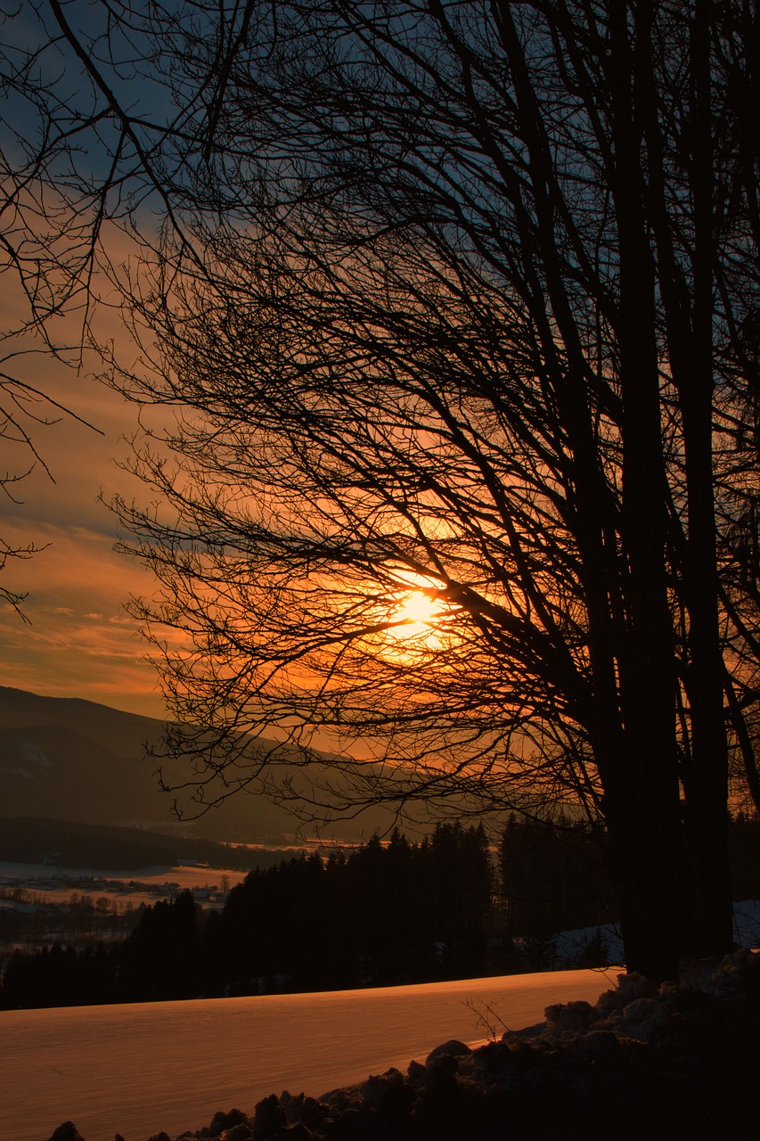 sunset  snow  forest free photo