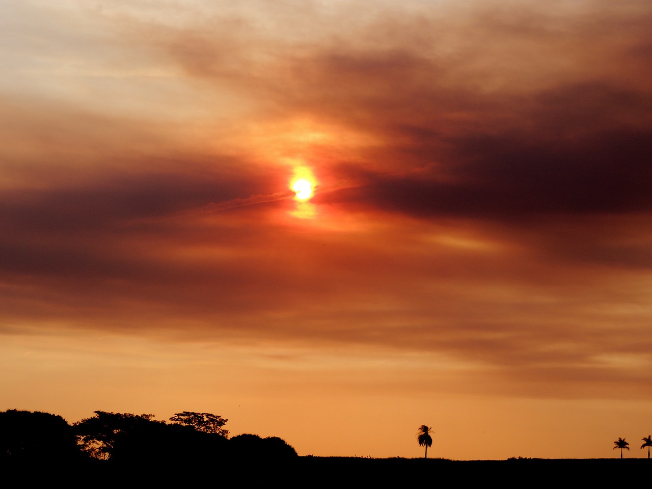 sunset against light clouds in the sun free photo