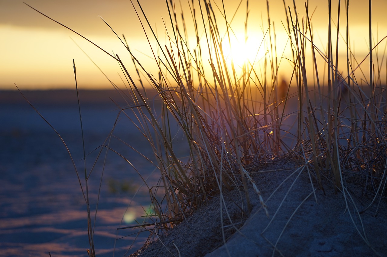 sunset  summer  sky free photo