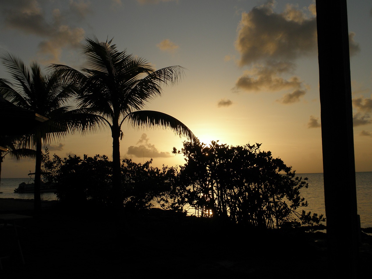 sunset romance tropics free photo