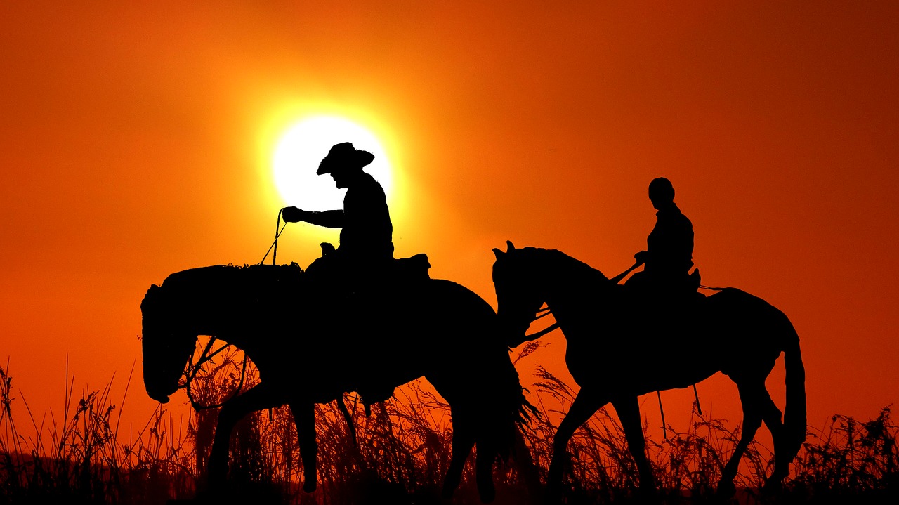 sunset  riders  silhouette free photo