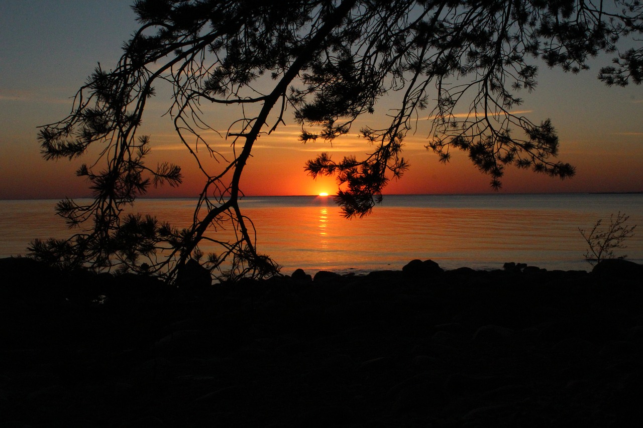 sunset  estonia  sky free photo