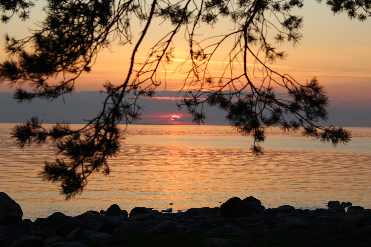 sunset  estonia  sky free photo