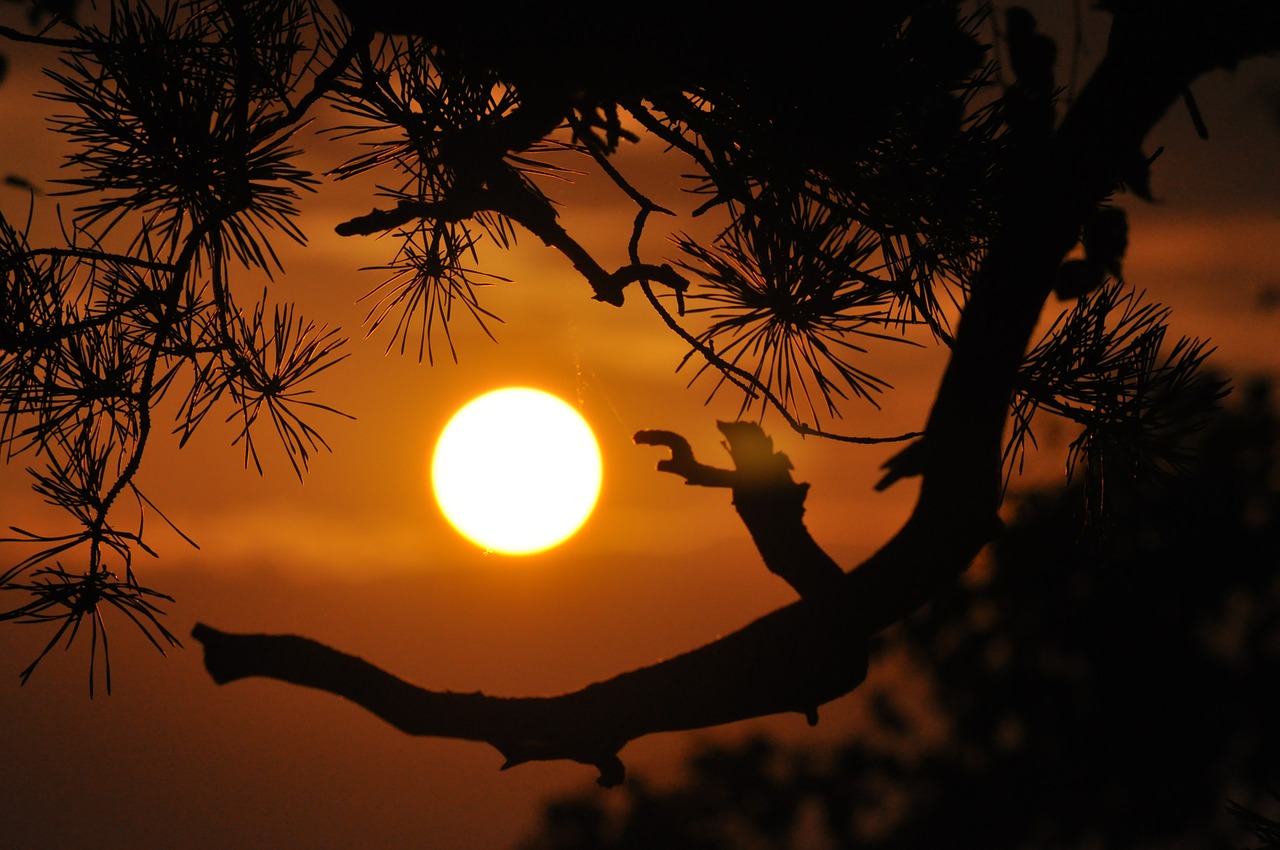 sunset mountains orange free photo