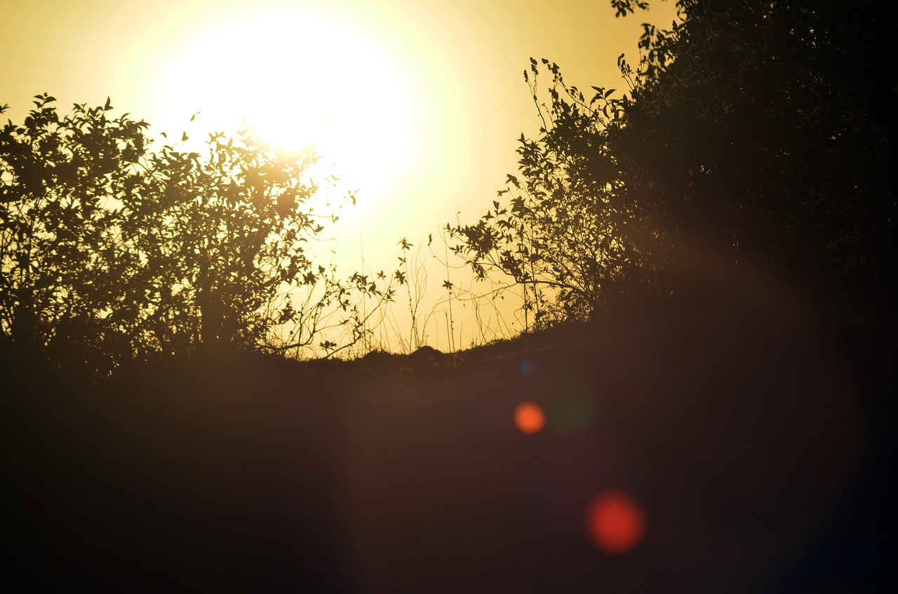 sunset  silhouette  sun free photo