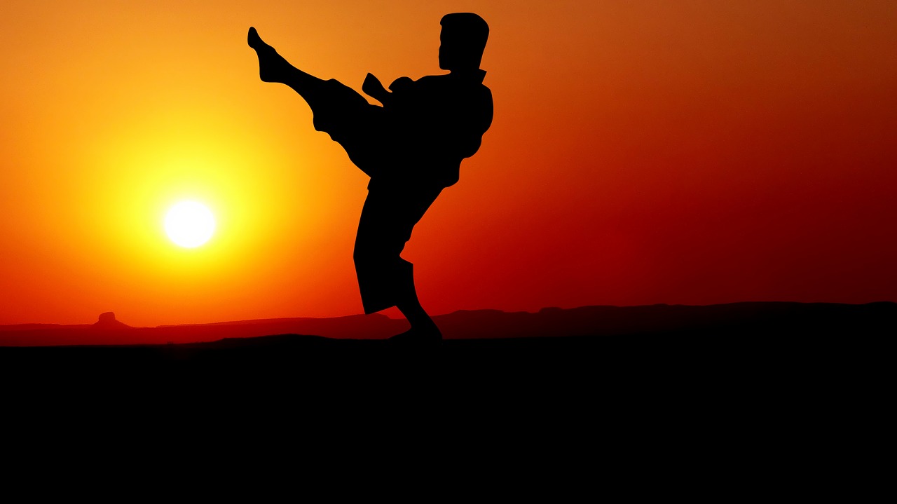 sunset  karate  kata free photo
