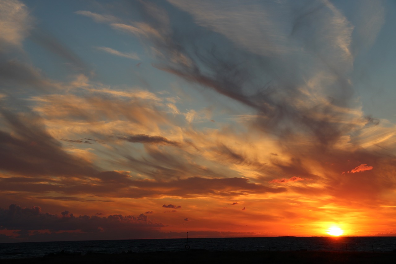 sunset  sky  clouds free photo