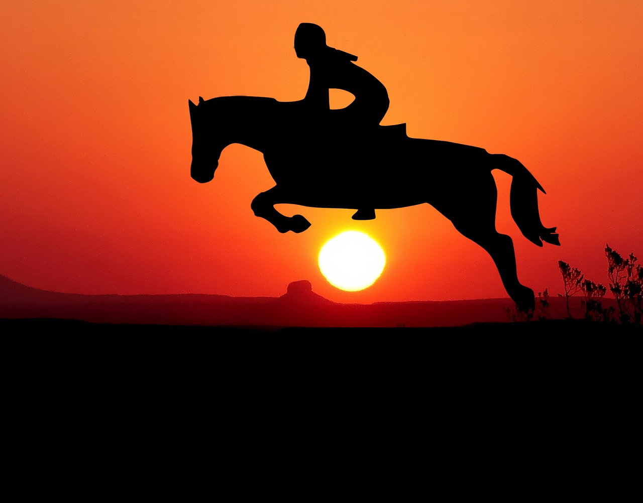 sunset  horse  jumper free photo