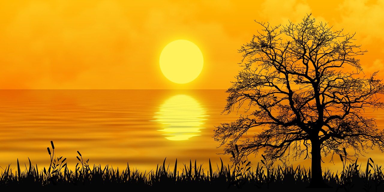 sunset  nature  fantasy free photo