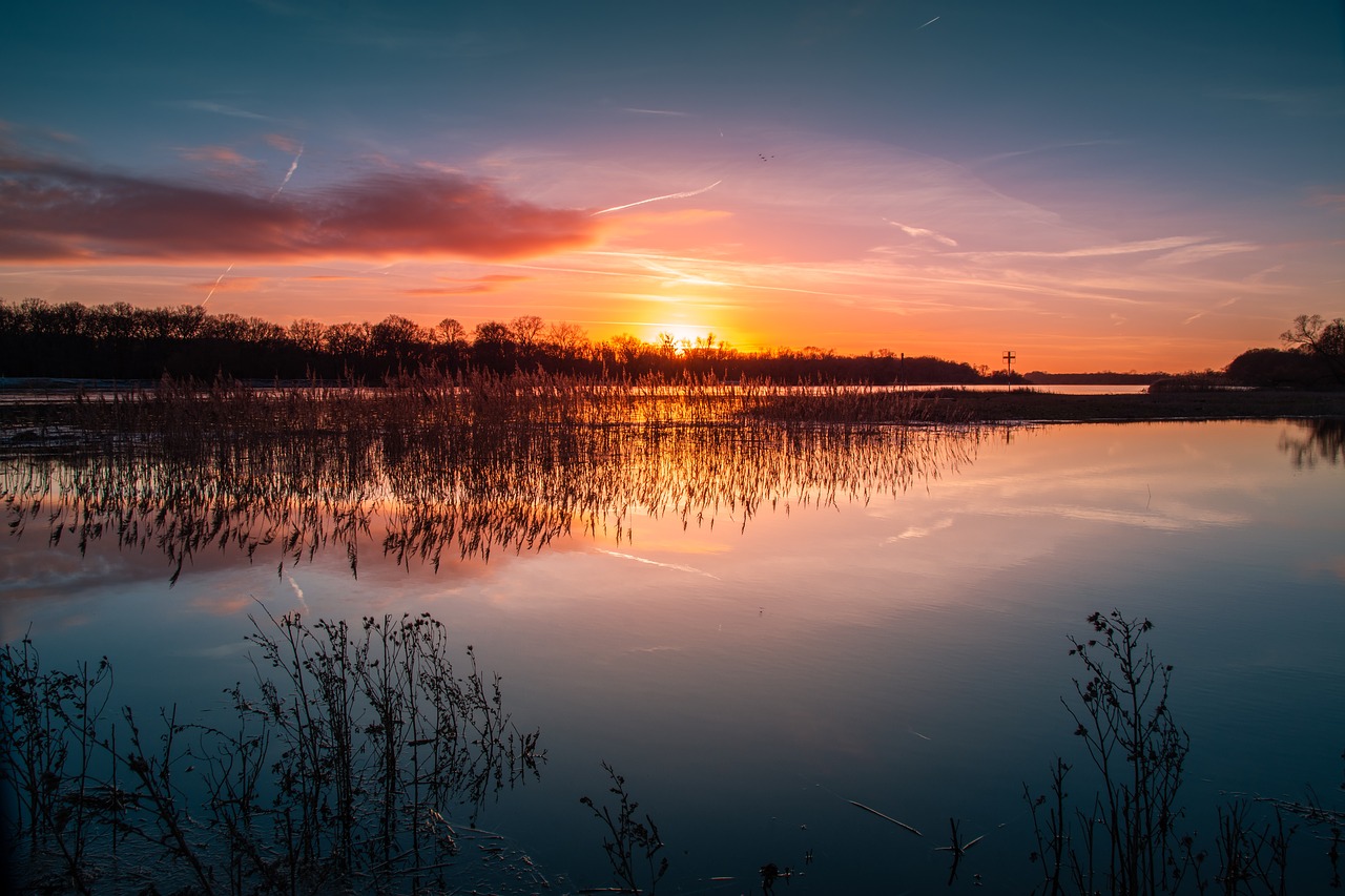 sunset  river  elbe free photo