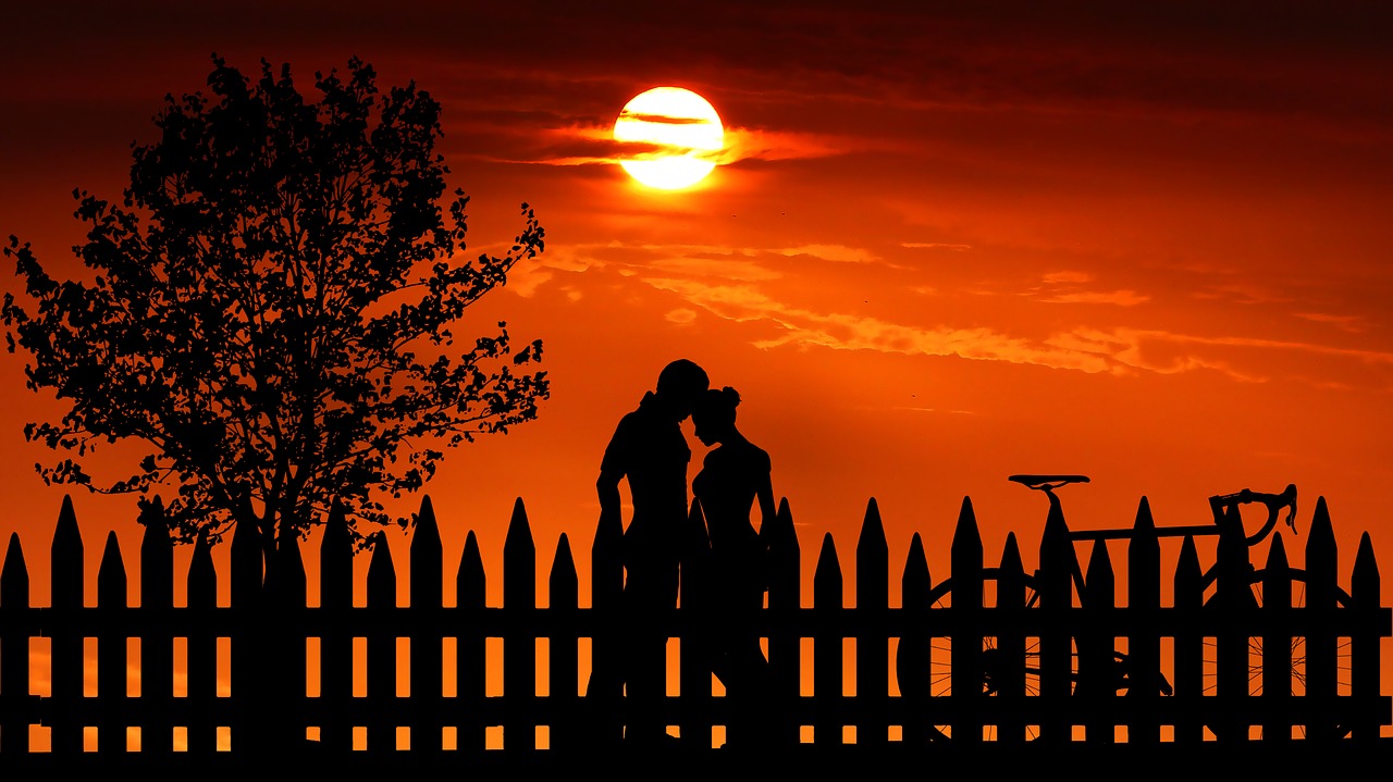 sunset  couple  love free photo