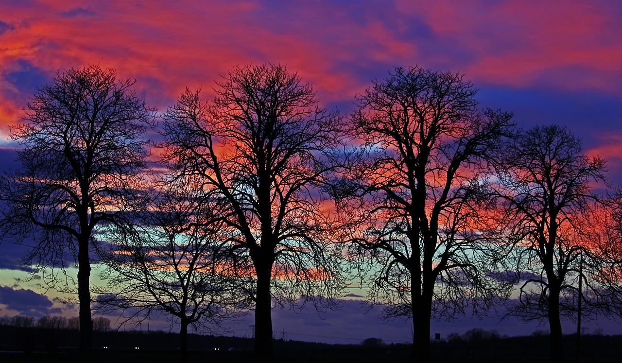 sunset  evening  sky free photo