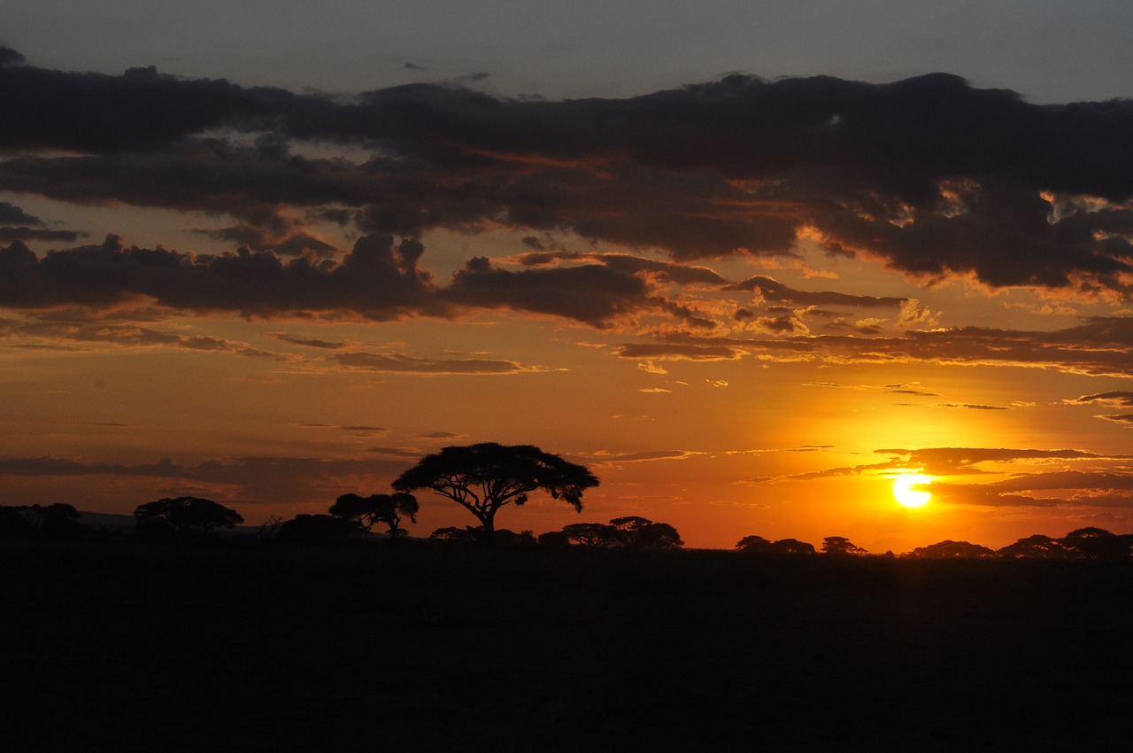 sunset  kenya  africa free photo