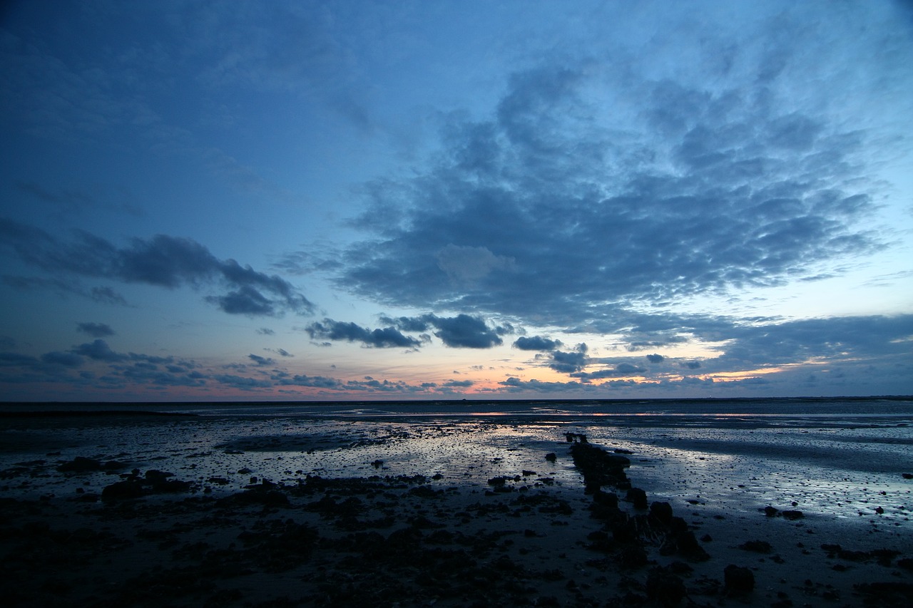 sunset  sea  wadden sea free photo