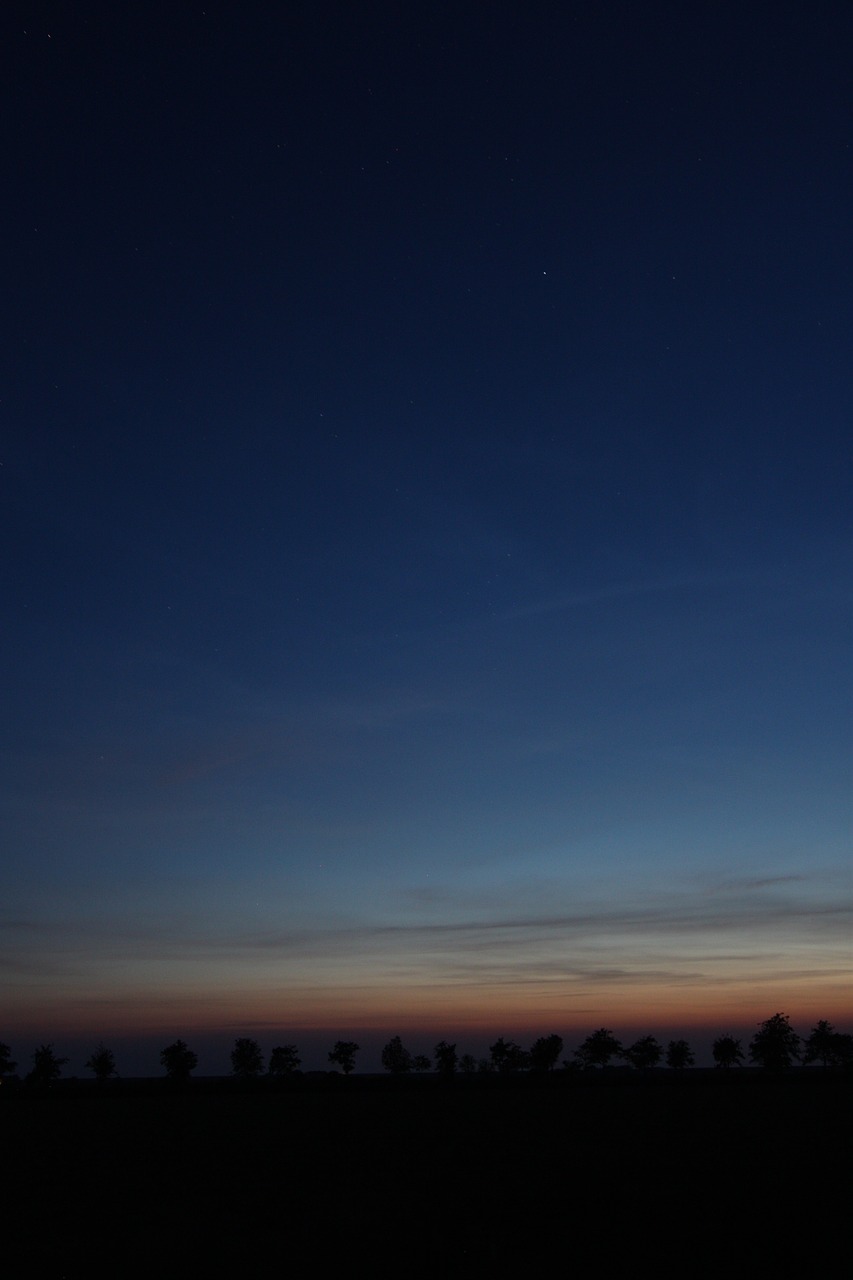 sunset  star  trees free photo