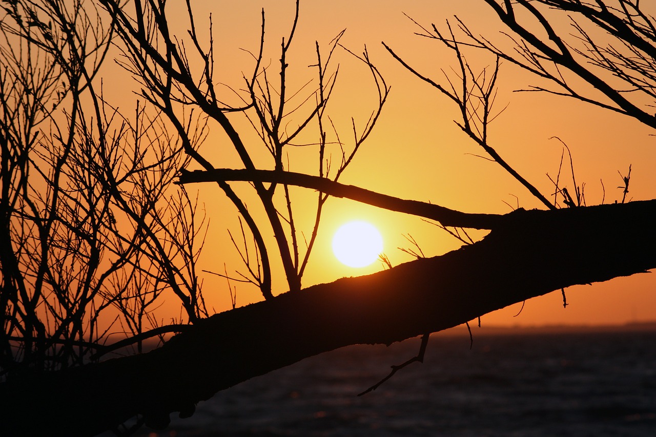 sunset abendstimmung sea free photo