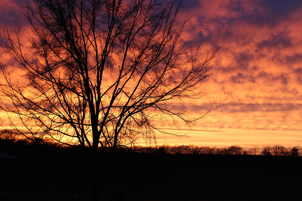 sunset  fall  autumn free photo