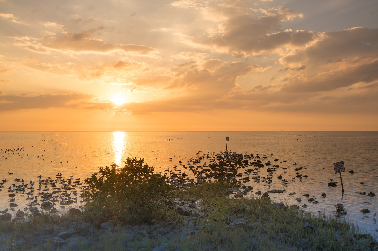 sunset  beach  florida free photo