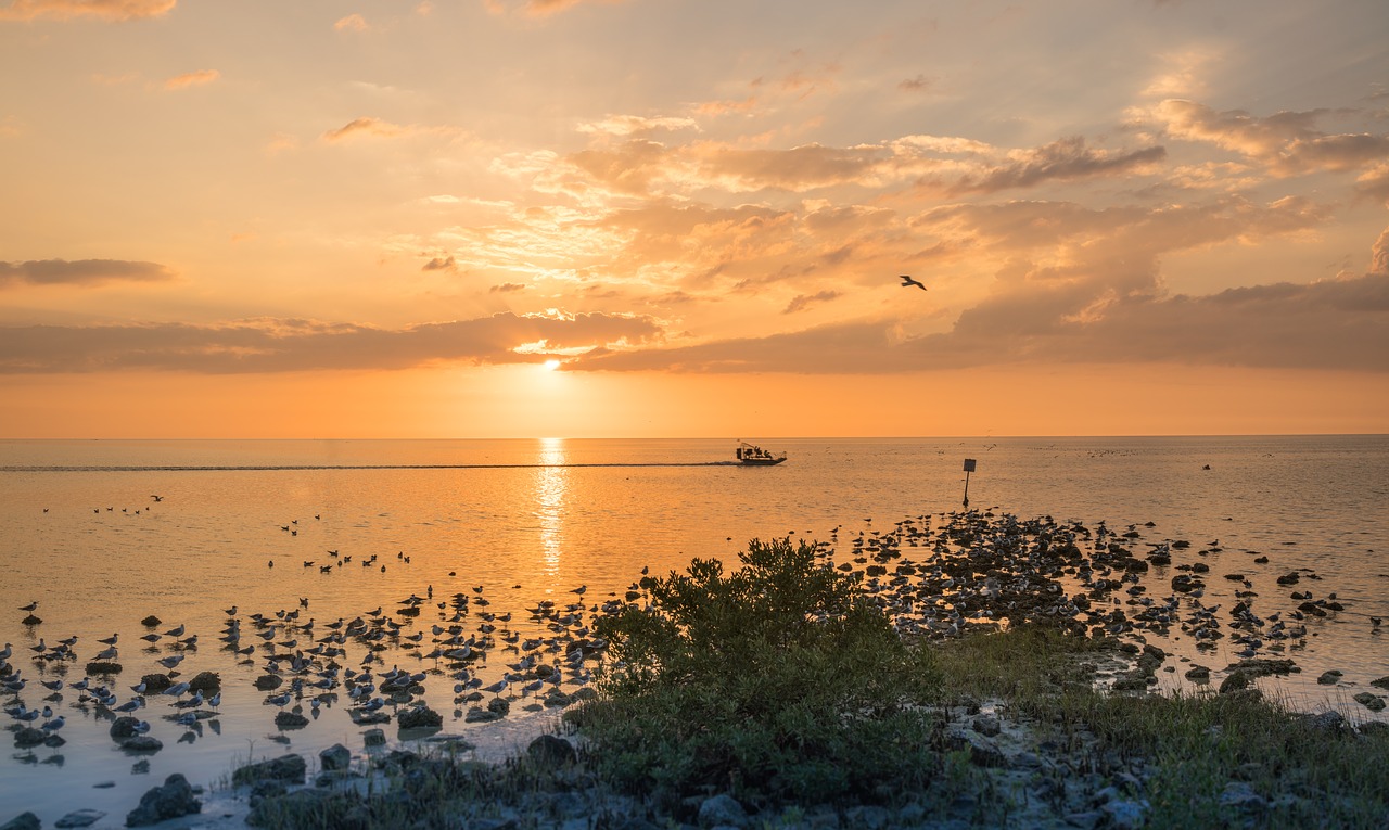 sunset  beach  boat free photo