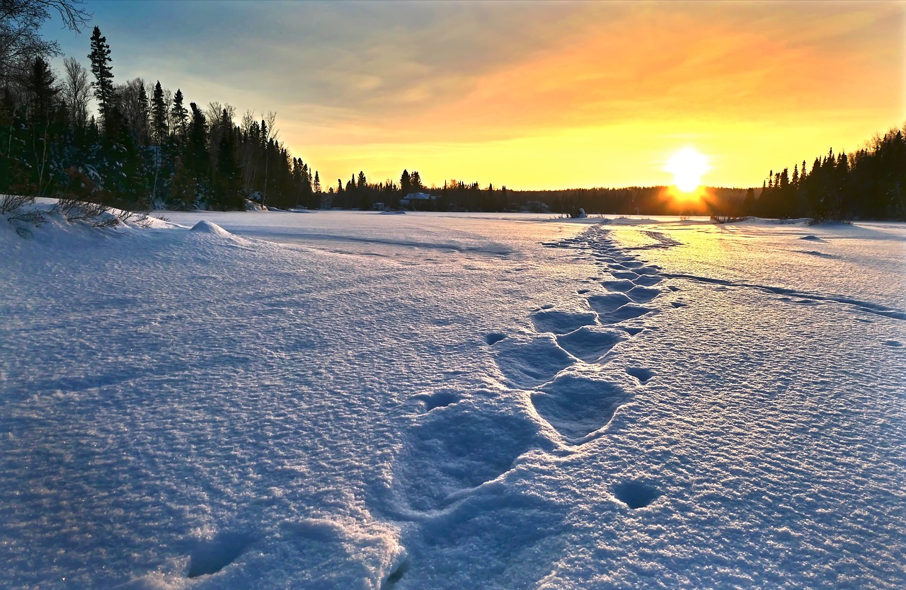 sunset  landscape  nature free photo