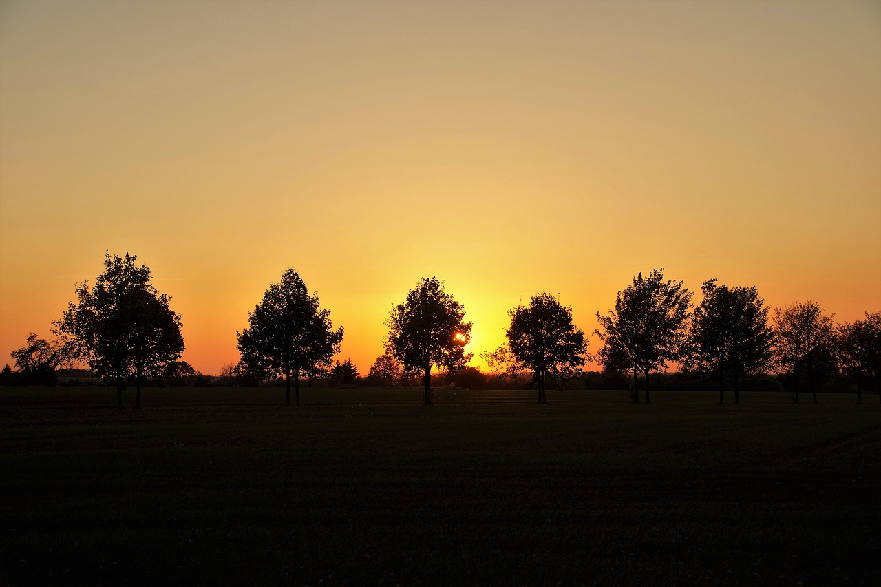 sunset  evening  twilight free photo