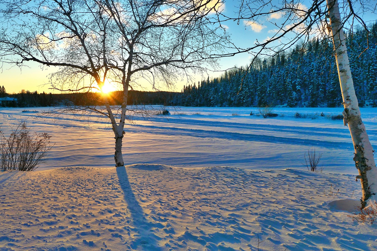 sunset  landscape  winter free photo