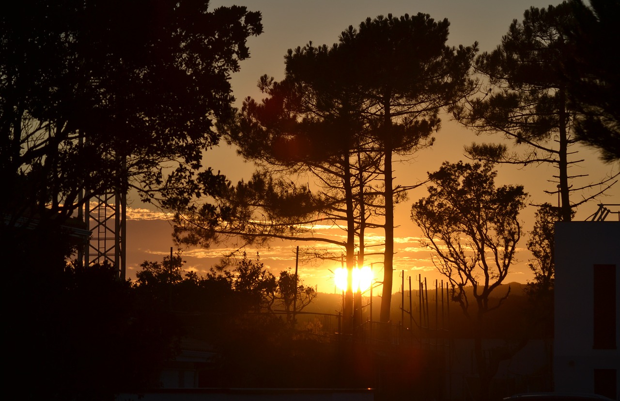 sunset  landes  nature free photo