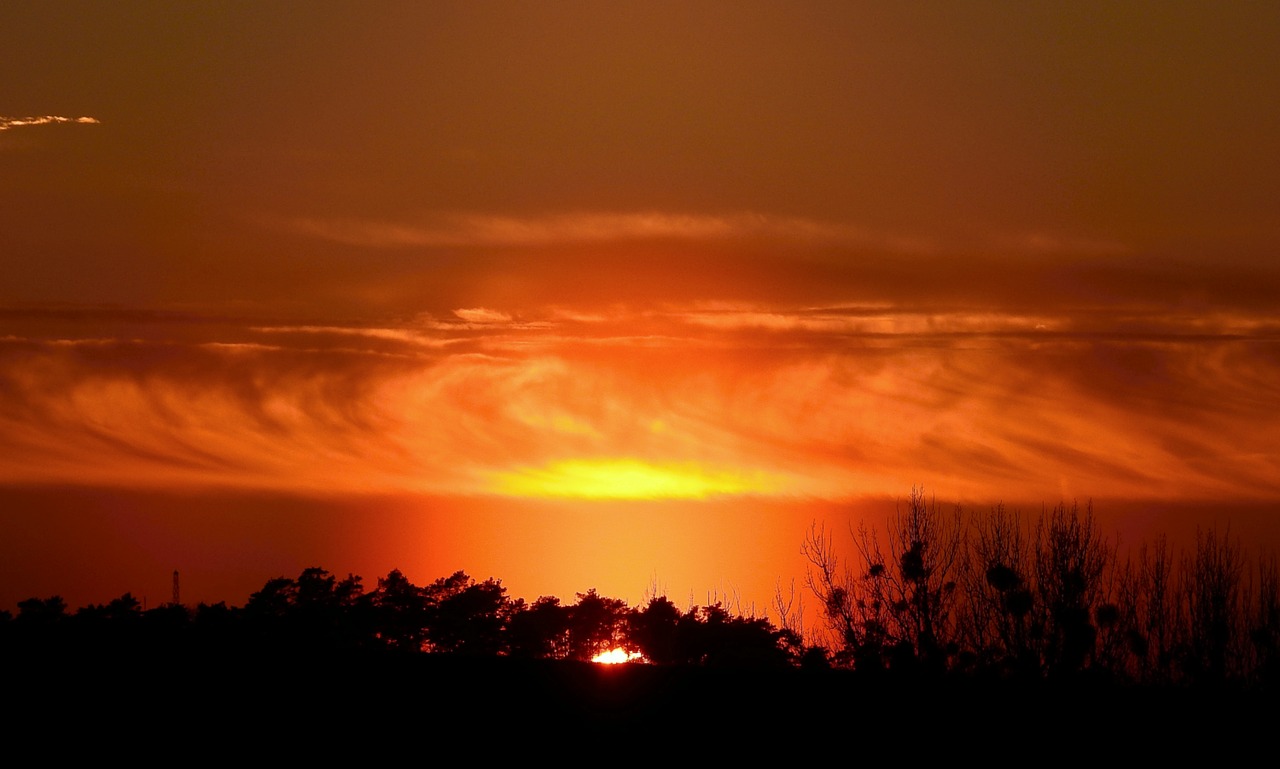 sunset  landscape  tree free photo