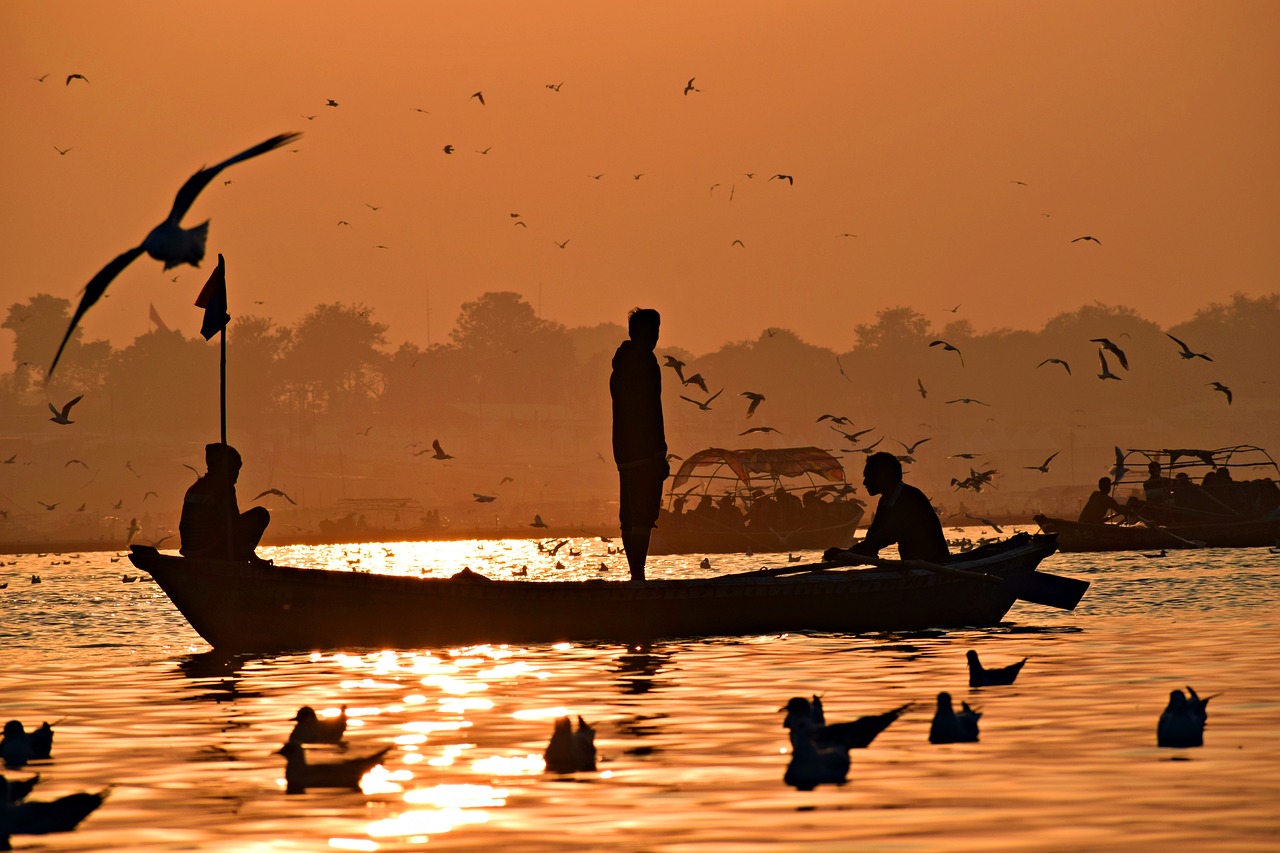 sunset  boat  birds free photo