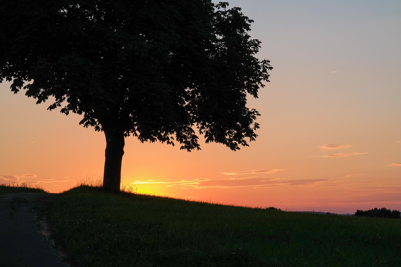 sunset  dusk  abendstimmung free photo