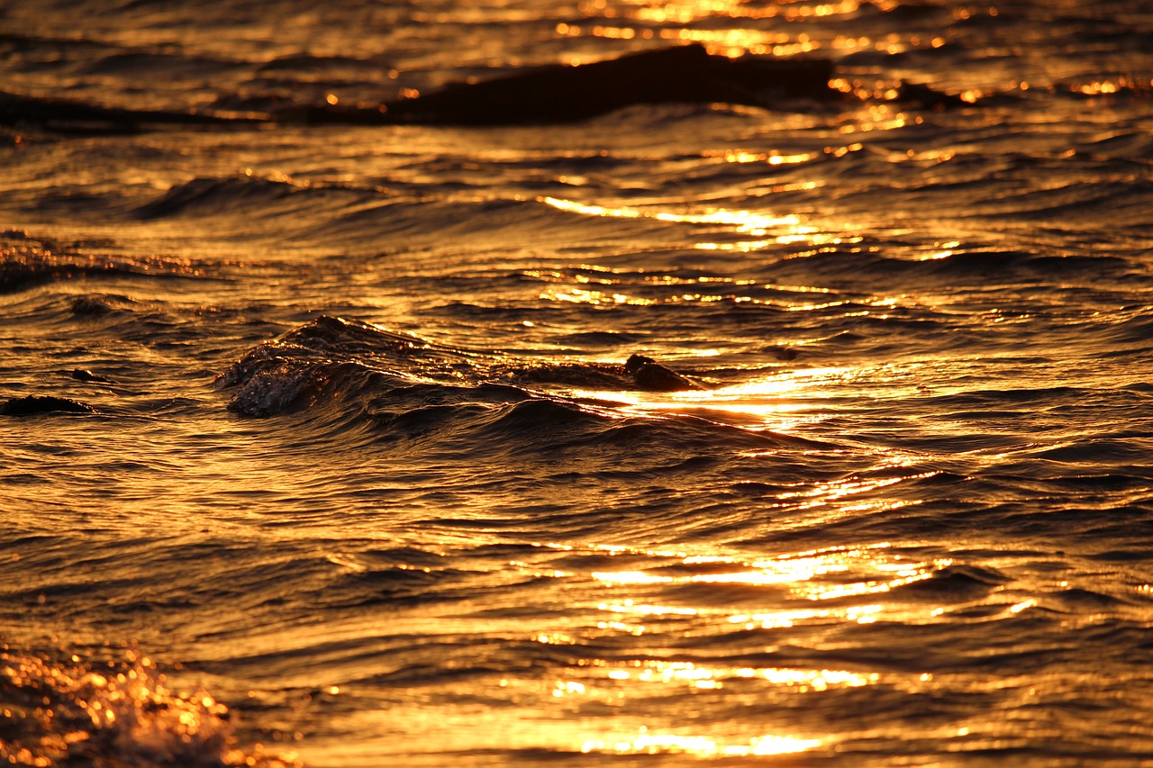 sunset  golden water  water free photo
