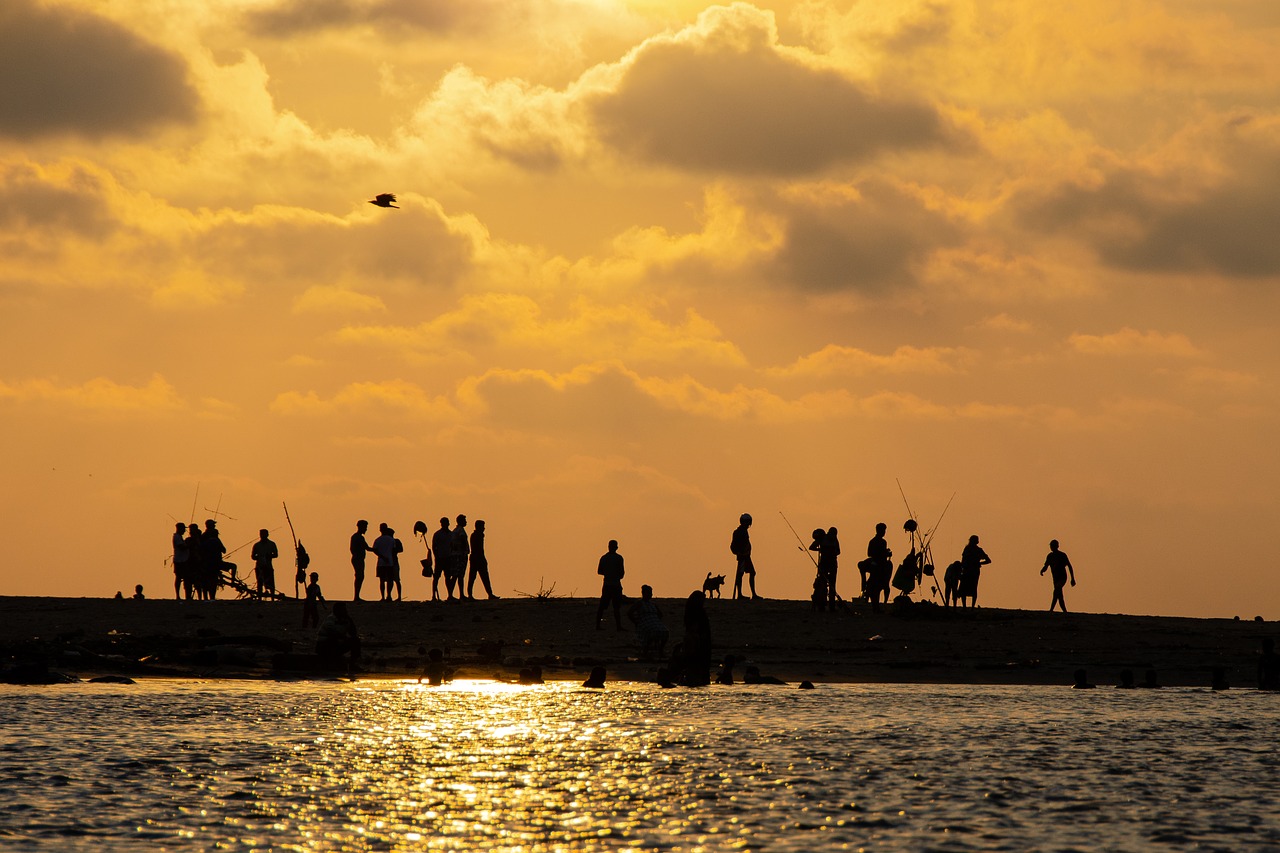 sunset  beach  sea free photo